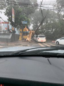 temporal foz10