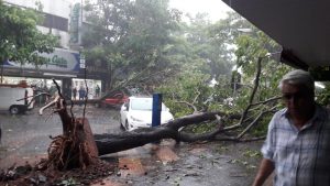 temporal foz4