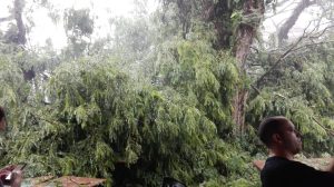 temporal foz5