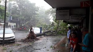 temporal foz6
