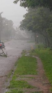 temporal foz7