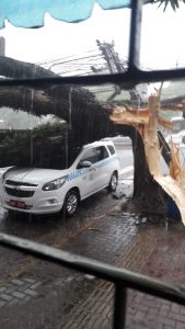 temporal foz9