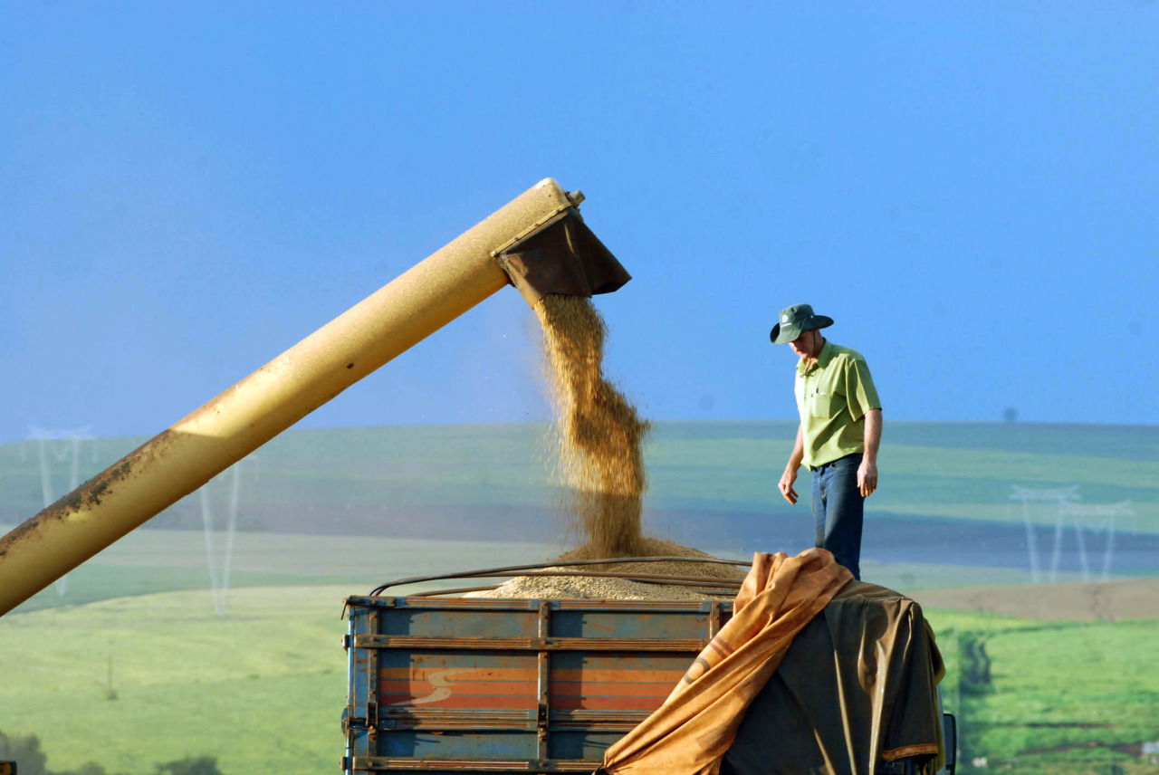 agricultura