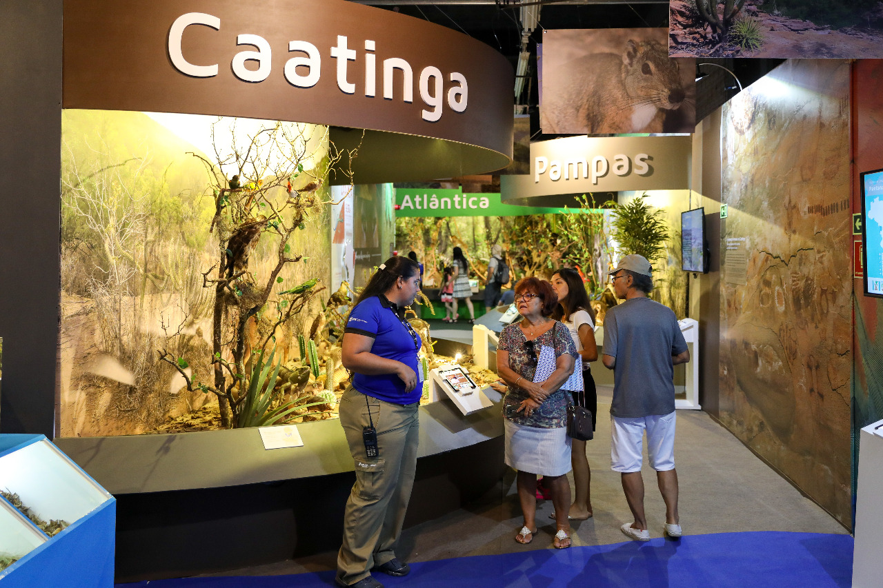 museu itaipu