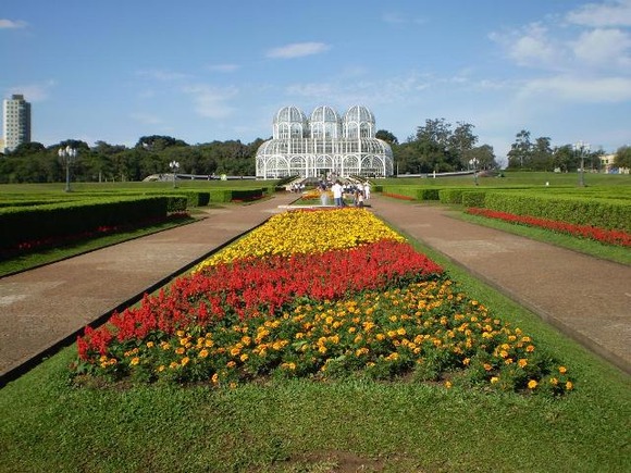 curitiba negocios