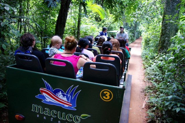 macuco safari1 1