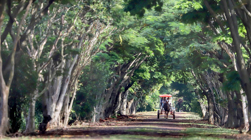 207 TURISMO RURAL PARANA