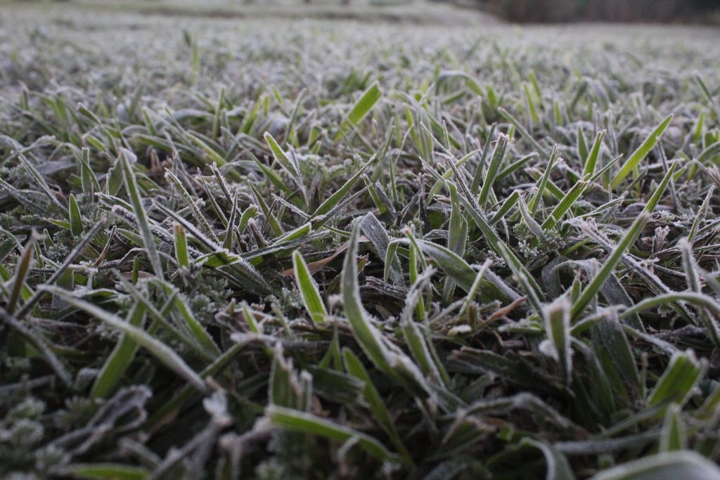 Imagens da geada em Foz do Iguaçu em manhã com sensação térmica de -2 graus 3 IMG 1048