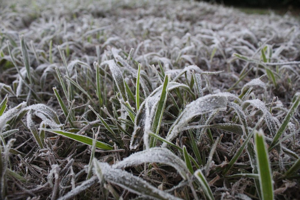 Imagens da geada em Foz do Iguaçu em manhã com sensação térmica de -2 graus 6 IMG 1054