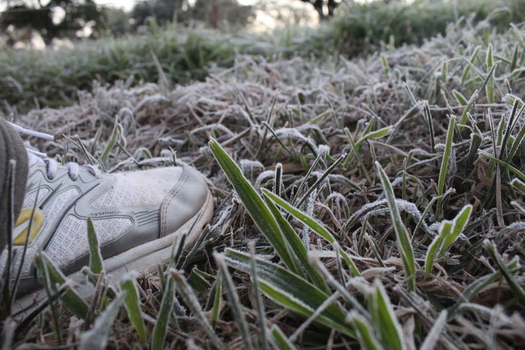 Imagens da geada em Foz do Iguaçu em manhã com sensação térmica de -2 graus 8 IMG 1059