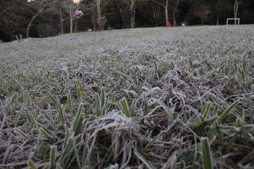 Imagens da geada em Foz do Iguaçu em manhã com sensação térmica de -2 graus 9 IMG 1062