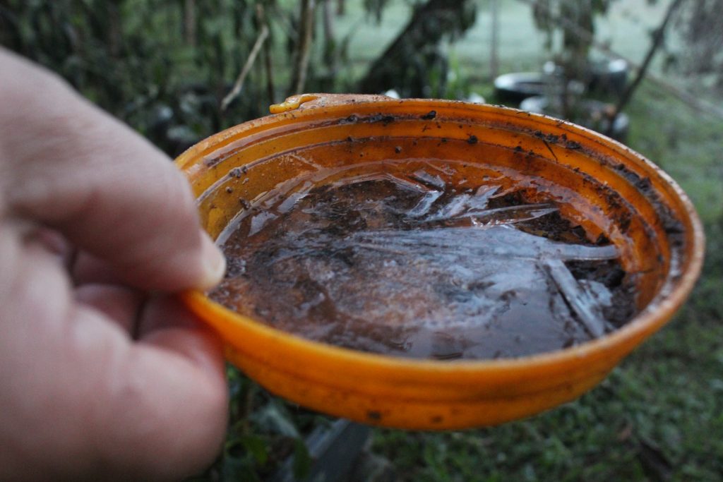 Imagens da geada em Foz do Iguaçu em manhã com sensação térmica de -2 graus 13 IMG 1078