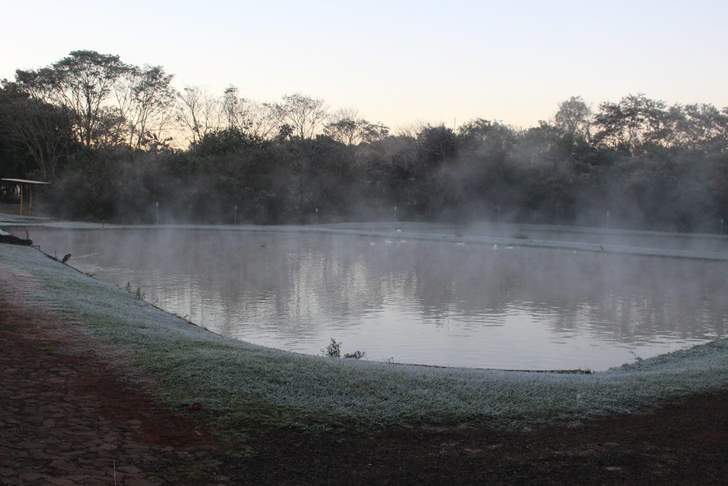 Imagens da geada em Foz do Iguaçu em manhã com sensação térmica de -2 graus 15 IMG 1086