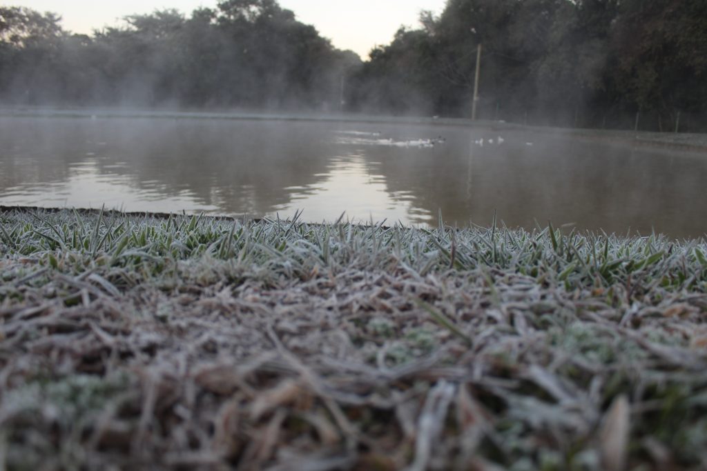 Imagens da geada em Foz do Iguaçu em manhã com sensação térmica de -2 graus 17 IMG 1092