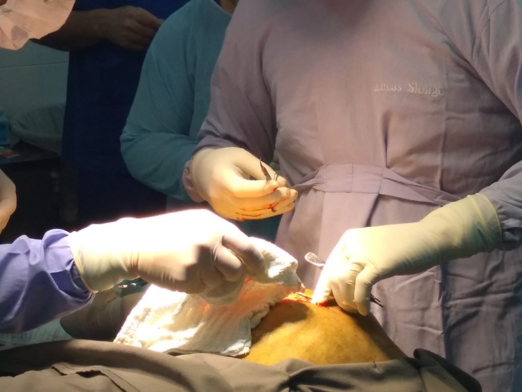 cirurgia puma8