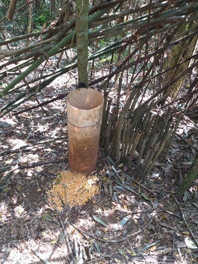 apreensao parque3