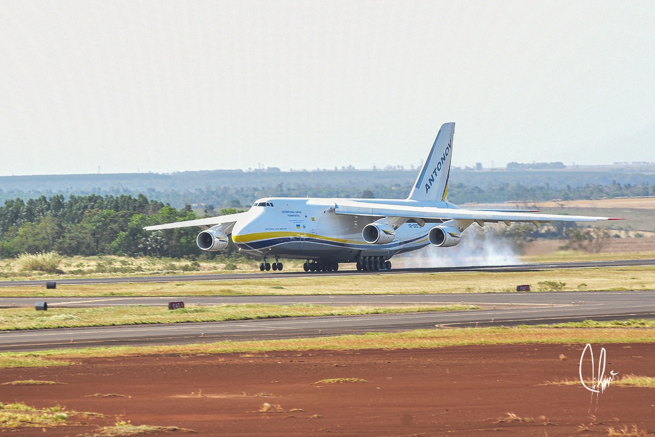 minga guazu