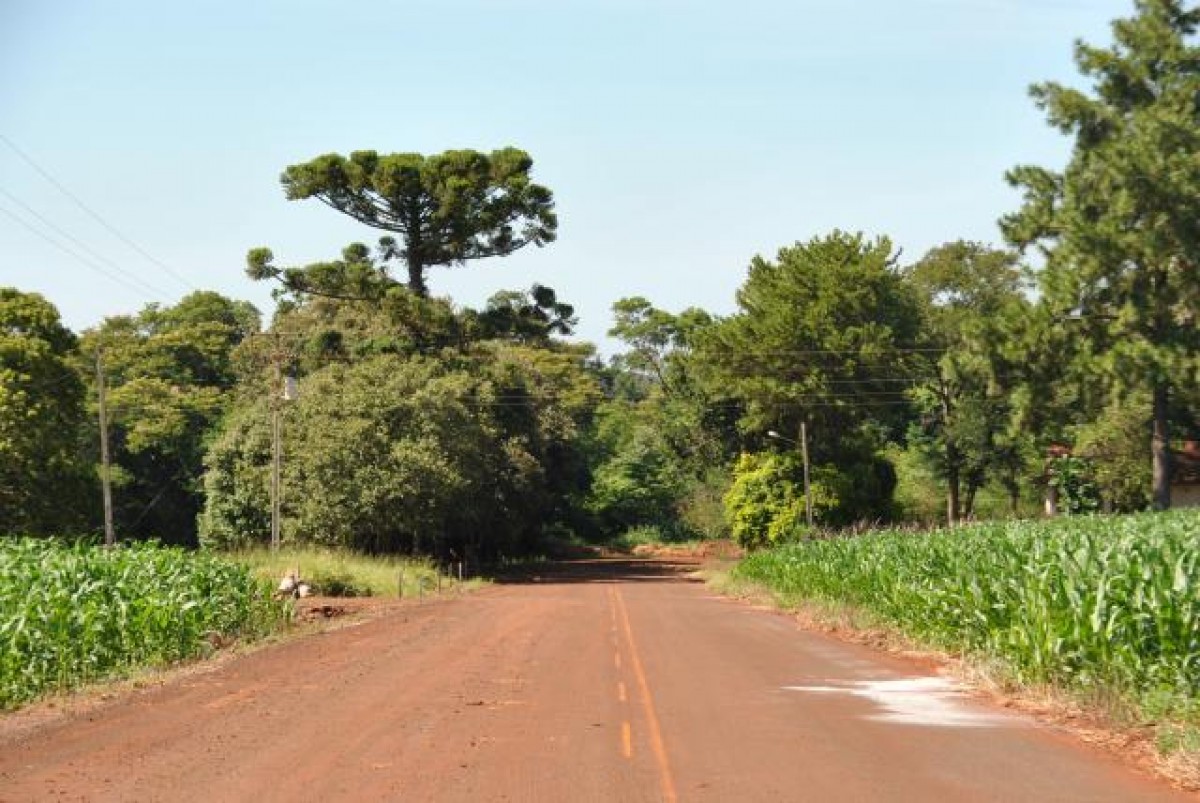 estrada colono