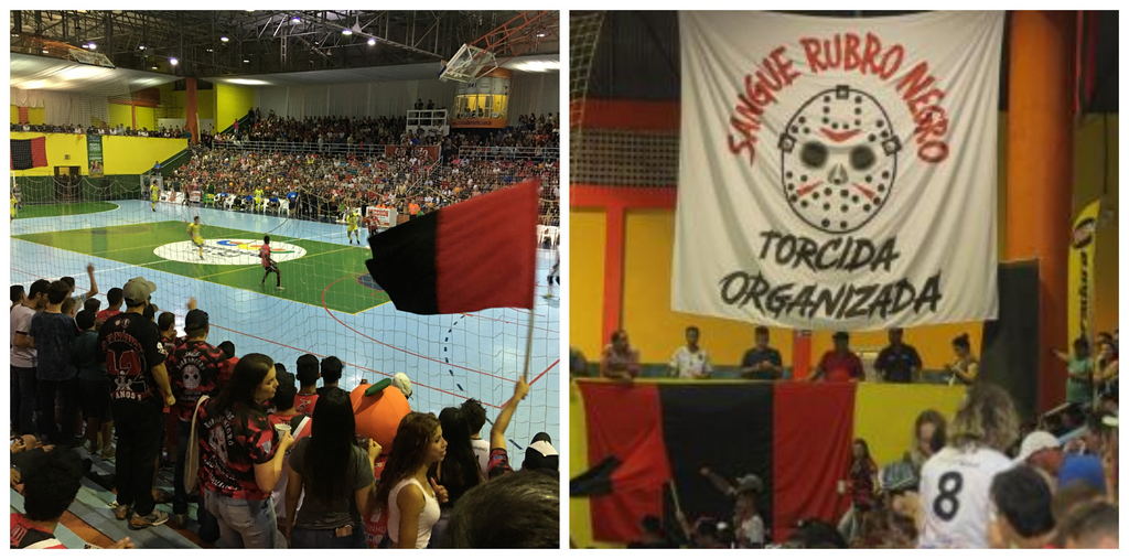 colagem torcida sangue rb lds