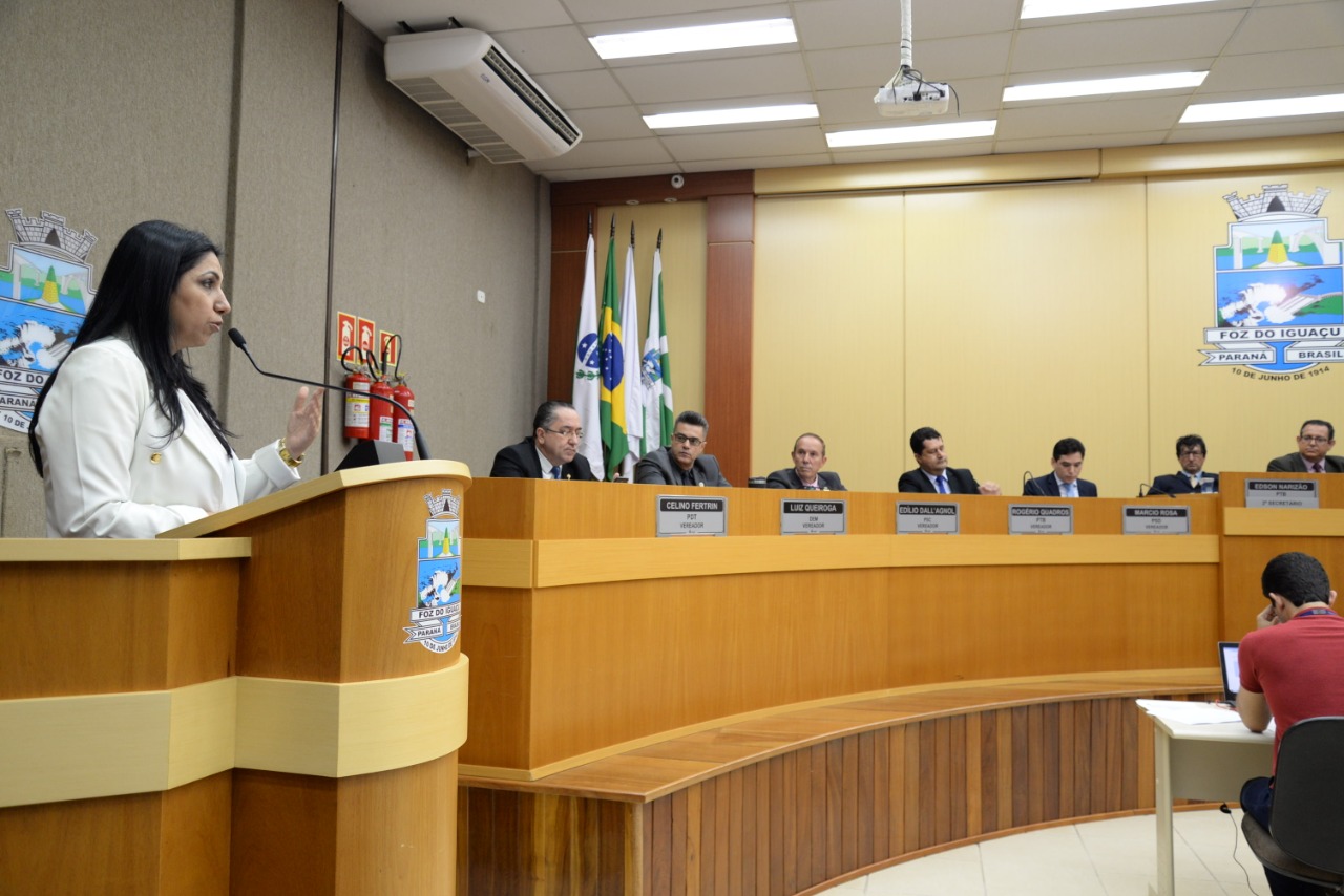 plenario camara foz 1