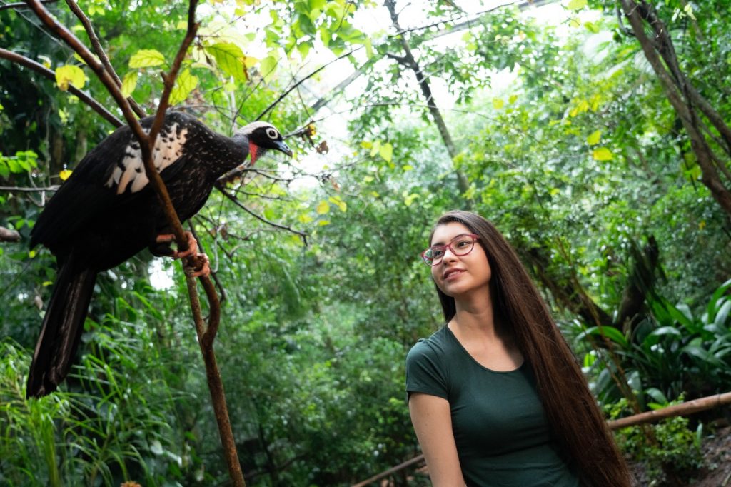Mata Atlântica é escolhida como destino a ser visitado em 2020 1 parque das aves