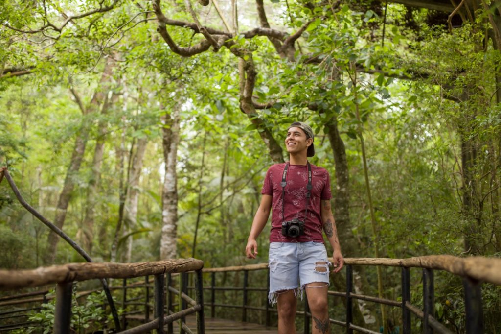 Mata Atlântica é escolhida como destino a ser visitado em 2020 2 parques das aves1