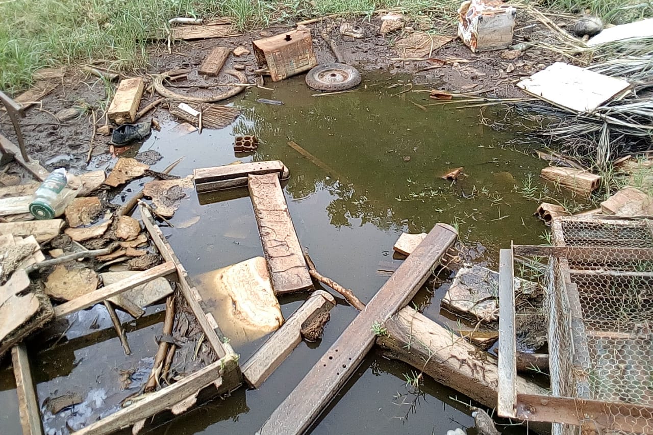mutirao dengue