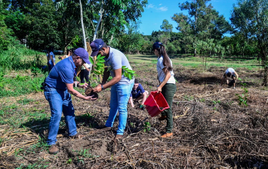 Projeto Reflora contribui com a preservação do Rio Tamanduazinho de Foz do Iguaçu. Assista! 5 projeto reflora4