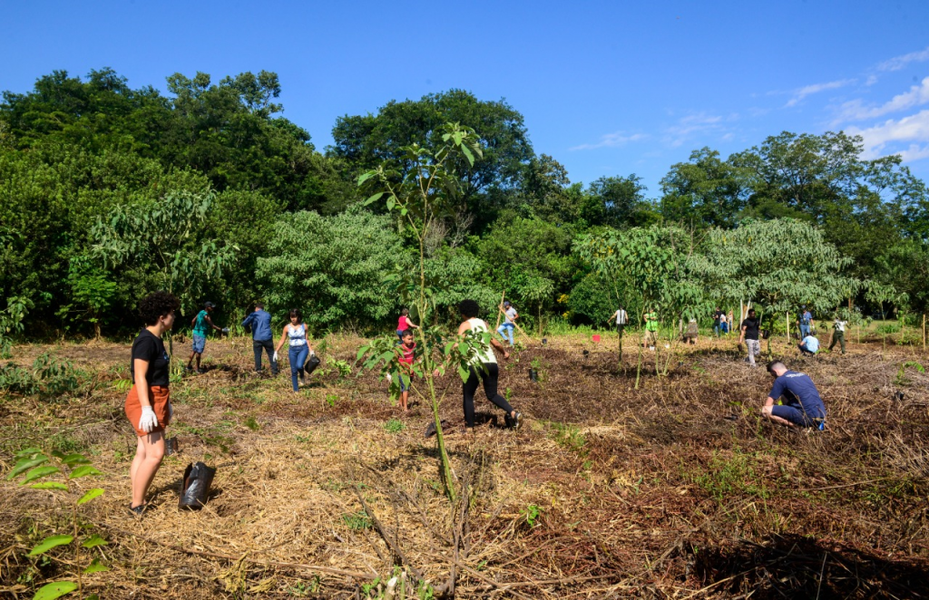 Projeto Reflora contribui com a preservação do Rio Tamanduazinho de Foz do Iguaçu. Assista! 6 projeto reflora5