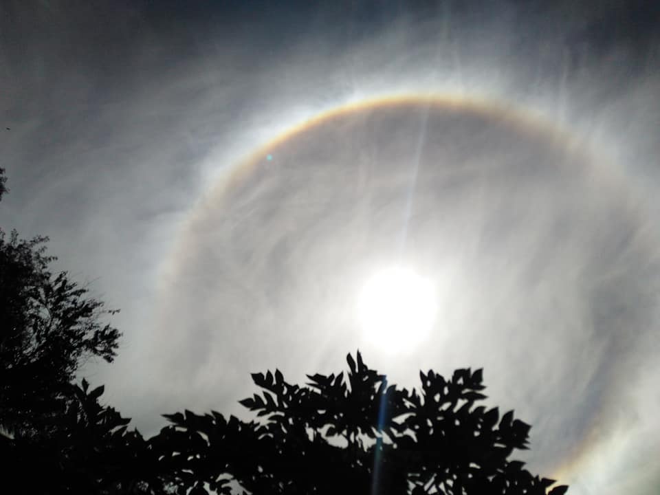 halo solar1