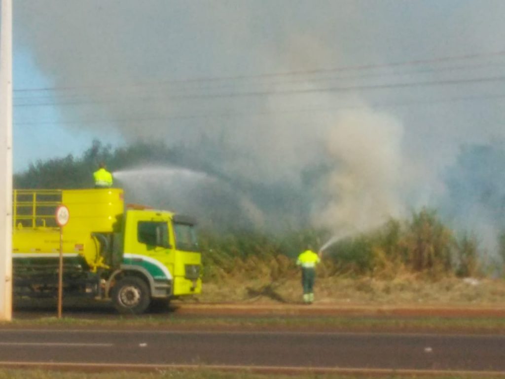 Incêndio de campo na BR-277, na área urbana de Foz do Iguaçu. VEJA FOTOS! 3 incendio na BR1