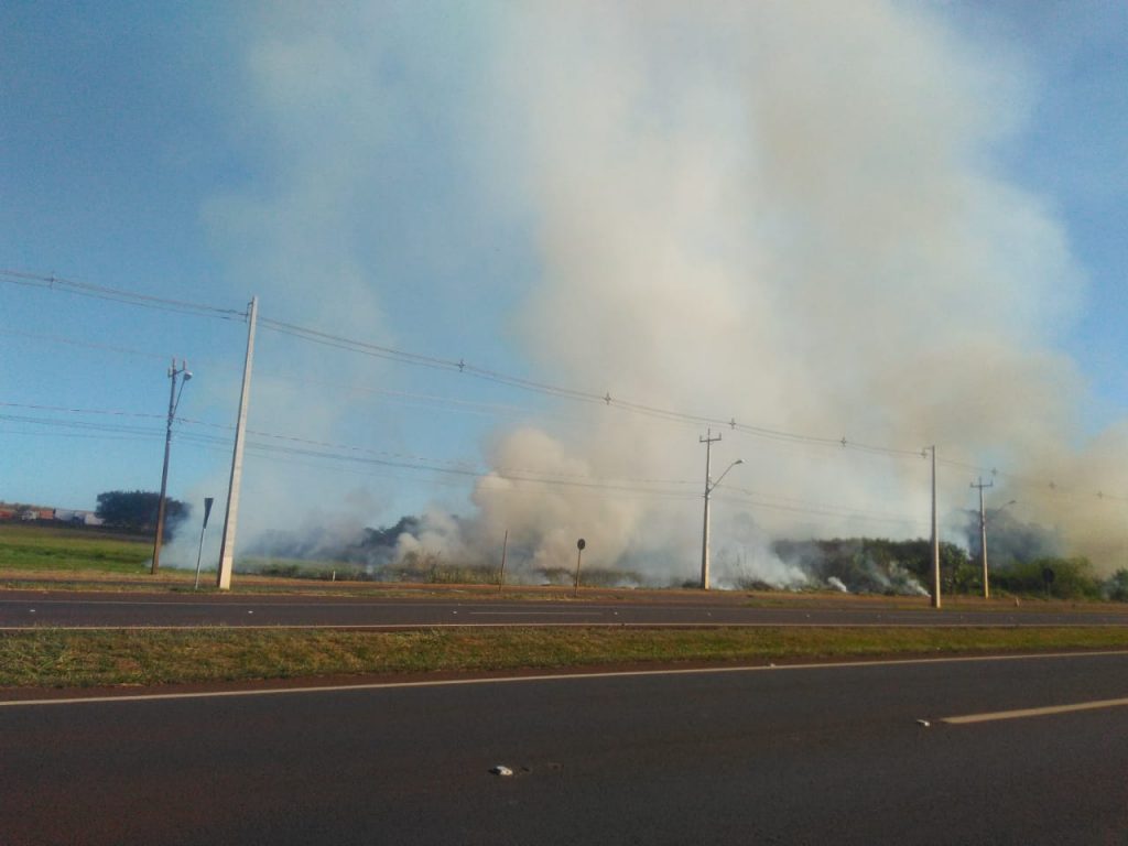 Incêndio de campo na BR-277, na área urbana de Foz do Iguaçu. VEJA FOTOS! 4 incendio na BR3