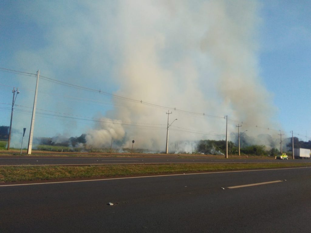 Incêndio de campo na BR-277, na área urbana de Foz do Iguaçu. VEJA FOTOS! 1 incendio na BR4