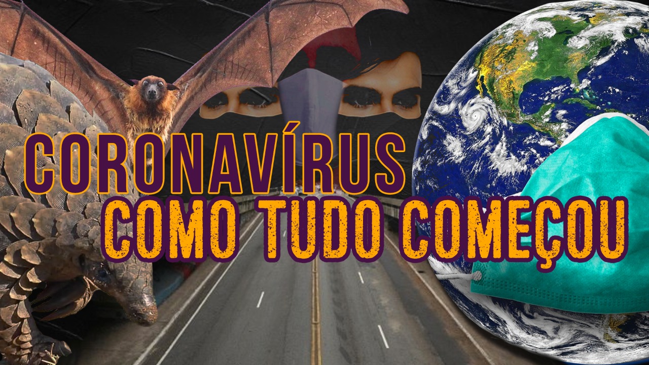Coronavírus Como tudo começou