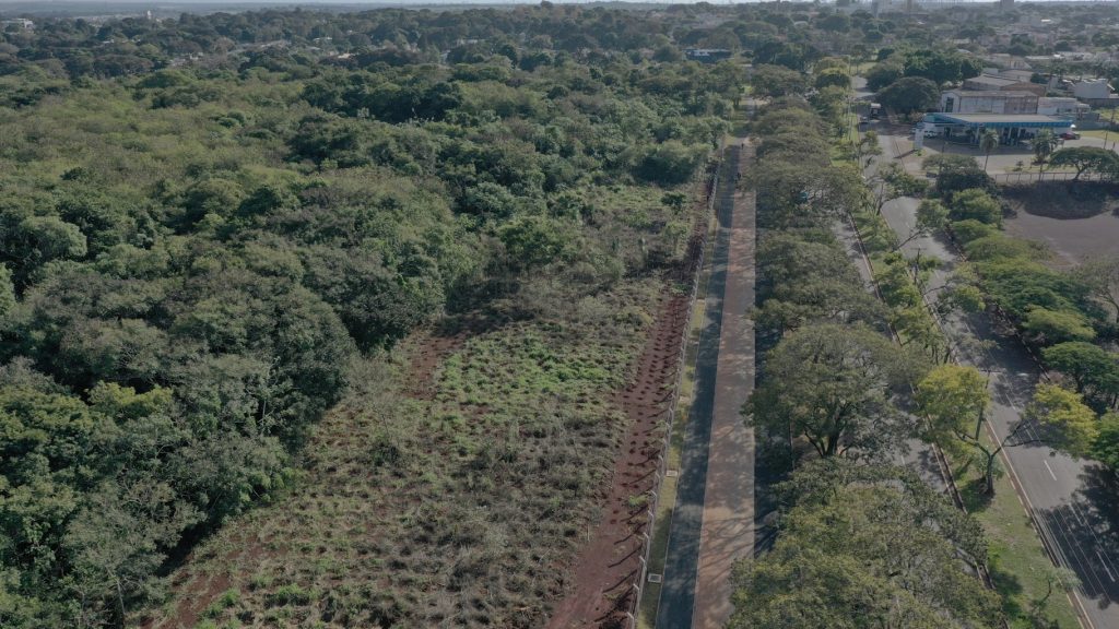 Plantio de mudas contribui com regeneração vegetal de fragmento florestal, na Vila A 6 Plantio de árvoes 6