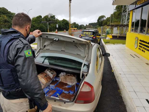 PRF encontra 150 quilos de maconha em carro falso do Ministério da Saúde 2 Apreensão maconha
