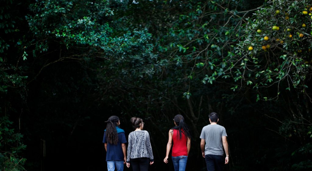 Refúgio Biológico de Itaipu retoma a visitação turística nesta quarta-feira (17). Veja como vai ser 1 Refugio Biologico Fotos SkyTakes Árvore Filmes 1