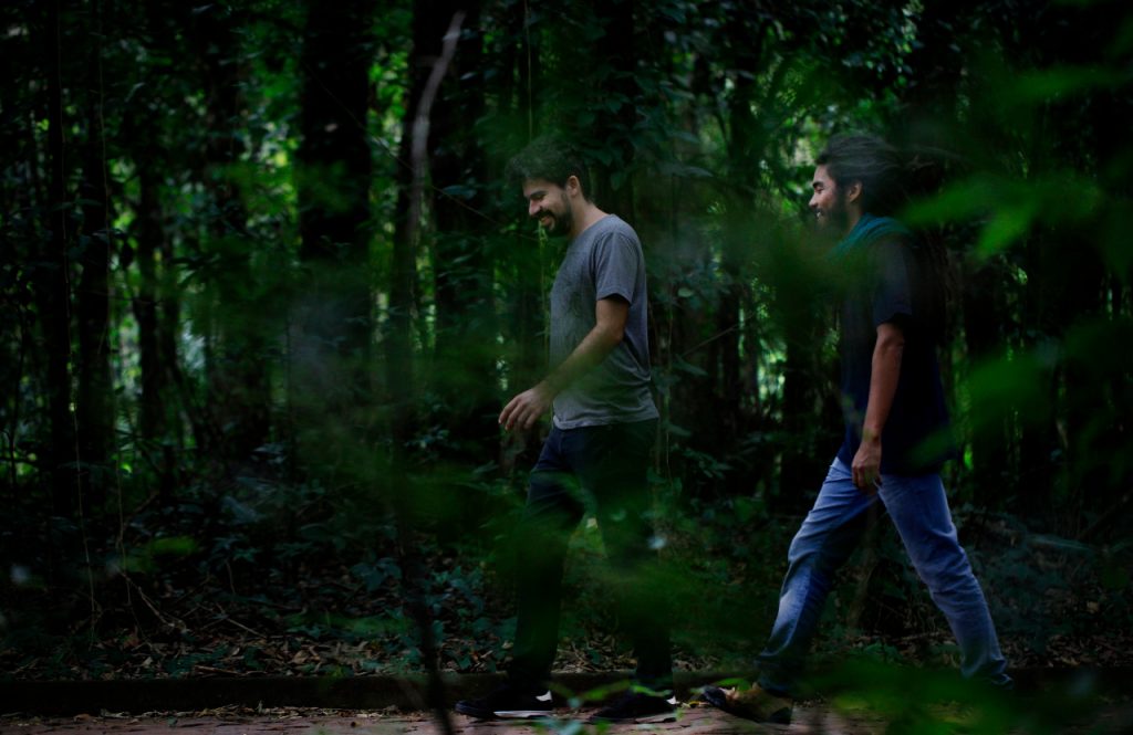 Refúgio Biológico de Itaipu retoma a visitação turística nesta quarta-feira (17). Veja como vai ser 2 Refugio Biologico Fotos SkyTakes Árvore Filmes 2