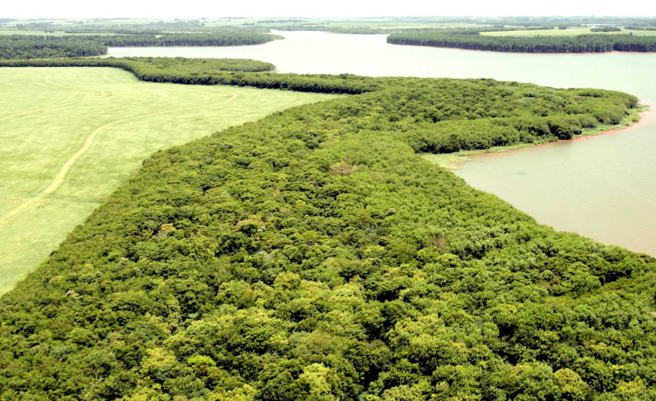 Faixa de proteção do reservatório. Foto Caio Coronel Itaipu Binacional
