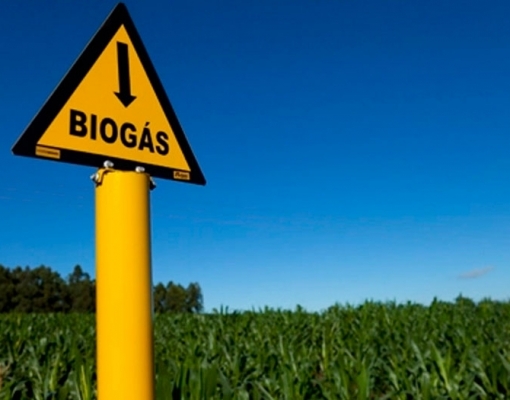 Biogás