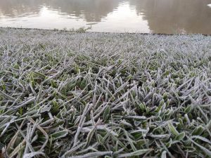 Alerta de geadas no Paraná: Temperaturas vão despencar; Foz tem previsão de 4ºC domingo, 30