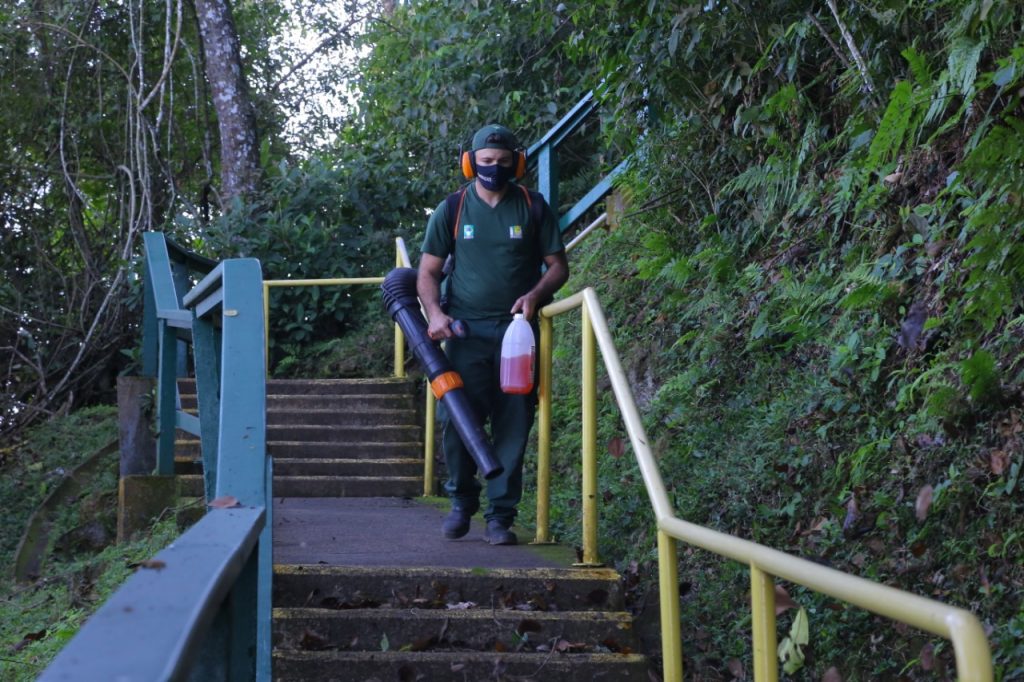 Zelo e cuidado, como as Cataratas estão sendo preparadas para atender bem os visitantes. Veja fotos! 2 preatativos cataratas 3