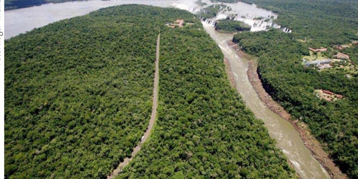 Paraná tem 55 mil hectares em Reservas Particulares de Patrimônio Natural