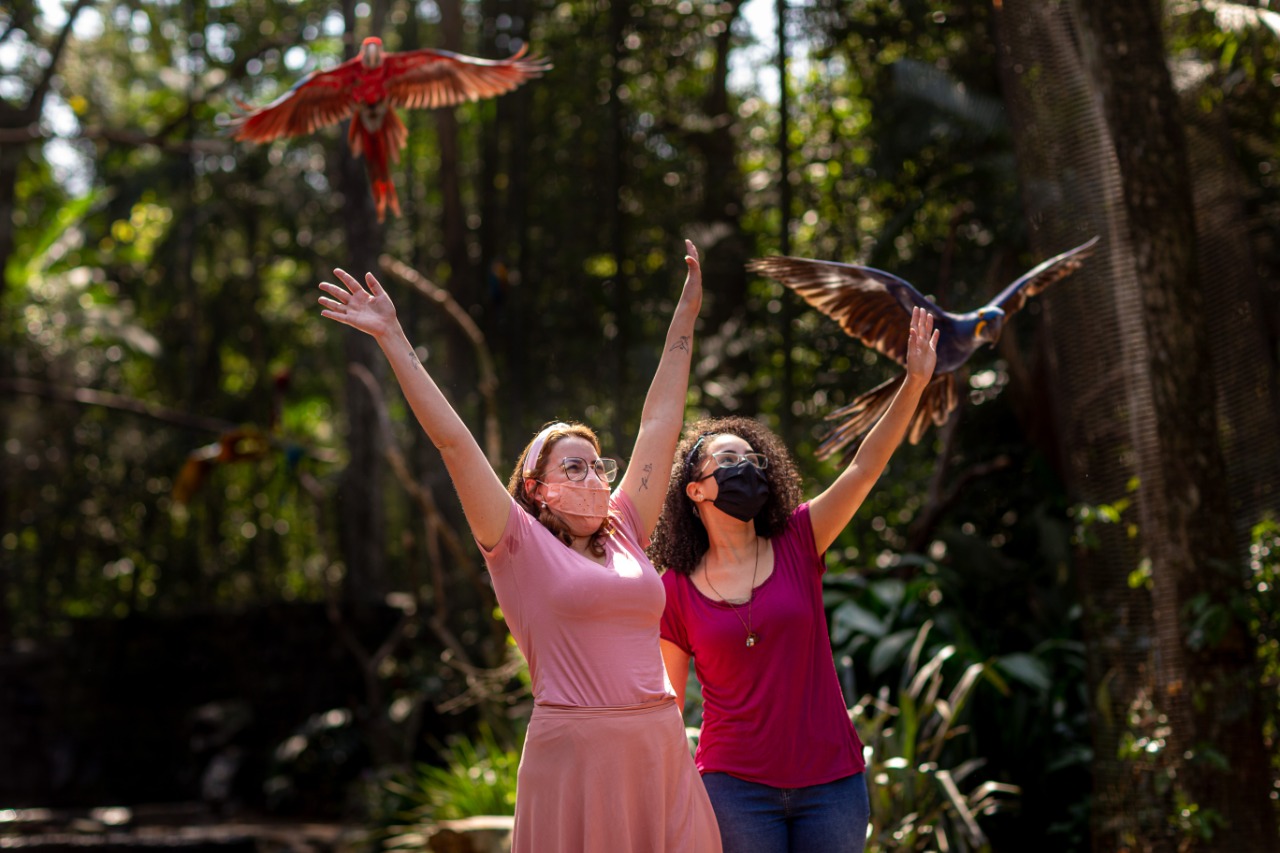 Parque das aves 2