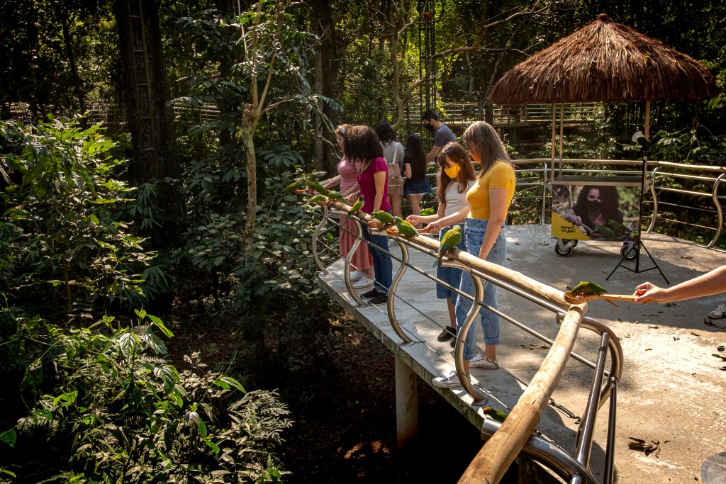 Visitantes do Parque das Aves podem alimentar periquitos no maior viveiro de aves do Brasil 5 Podem participar pessoas de todas as idades. Menores de 4 anos devem estar acompanhados de um adulto