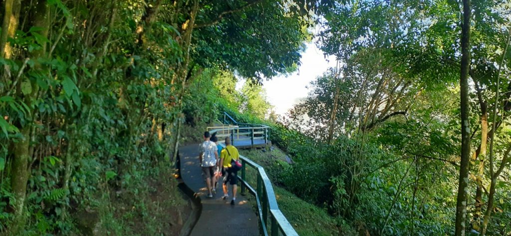 Primavera dá nova cara ao Parque Nacional do Iguaçu 8 cataratas iguacu8
