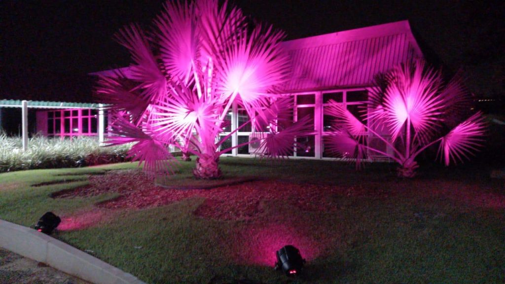 Oficialmente, nesta quinta-feira (1º), Itaipu se veste de rosa. Veja fotos! 1 itaipu outubro rosa 4