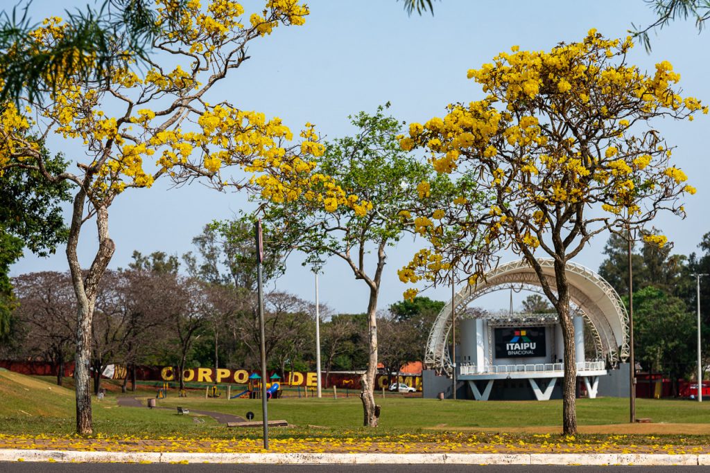 Dia Mundial de Prevenção ao Suicídio: estruturas da Itaipu seguem iluminadas nos tons do Setembro Amarelo 2 itaipu prevencao suicidio