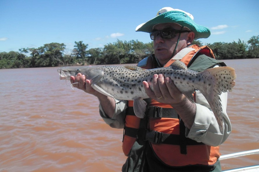 Período da piracema no Paraná começa neste domingo, 1º de novembro, e vai até fevereiro 1 Pesca Foto IAT