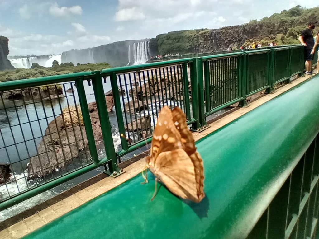Cataratas Day 2020 atrai mais de 800 visitantes ao Parque Nacional do Iguaçu. Veja fotos e vídeos exclusivos! 2 cataratas day 1